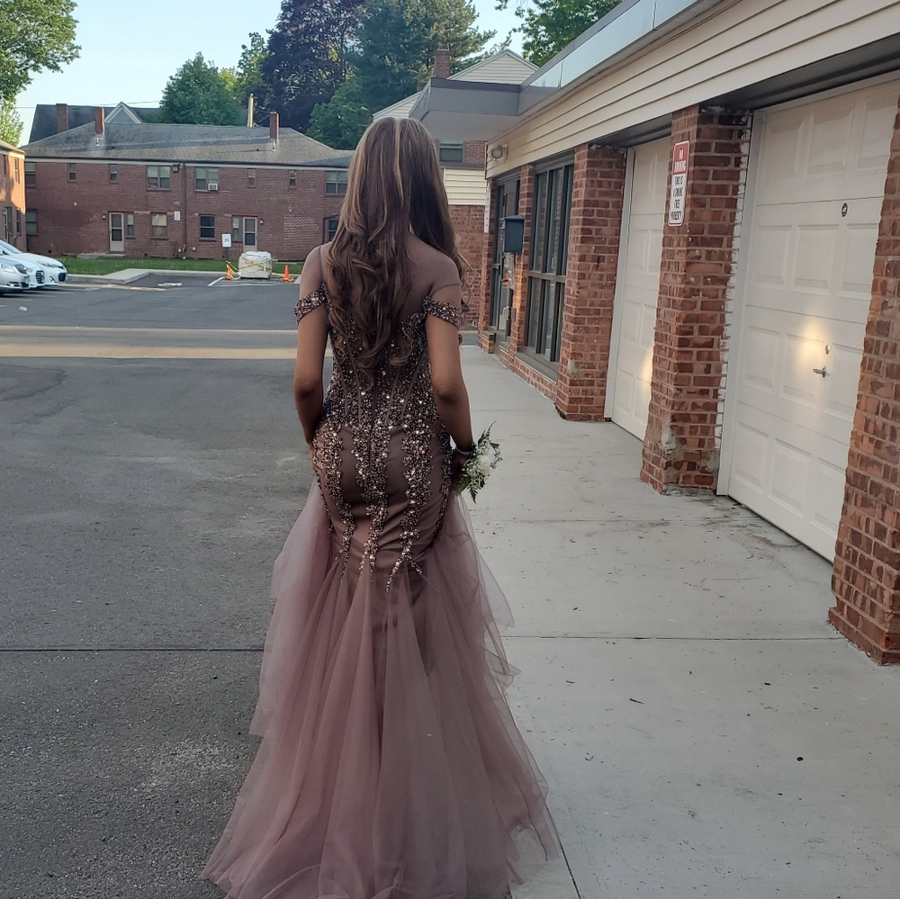 Prom Gown - Picture 3 of 3
